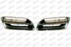 PRASCO DS0072010 Radiator Grille
